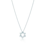18K Tiff Star of David Pendant Necklace